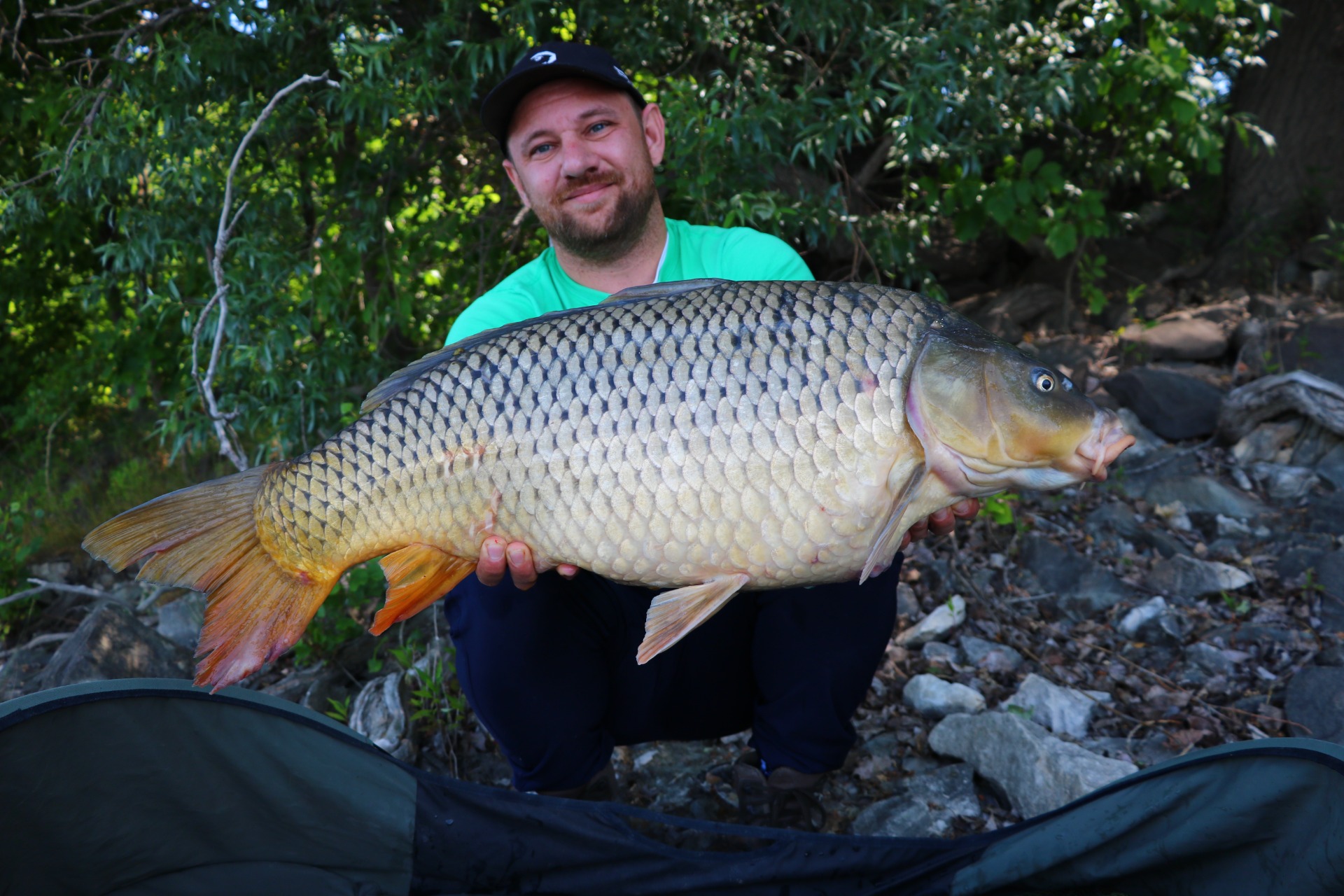 Ez a termetes folyóvízi ponty volt a horgomon. Horogszabadításig bírta az előke, nagy mázli, hogy sikerült megfogni.