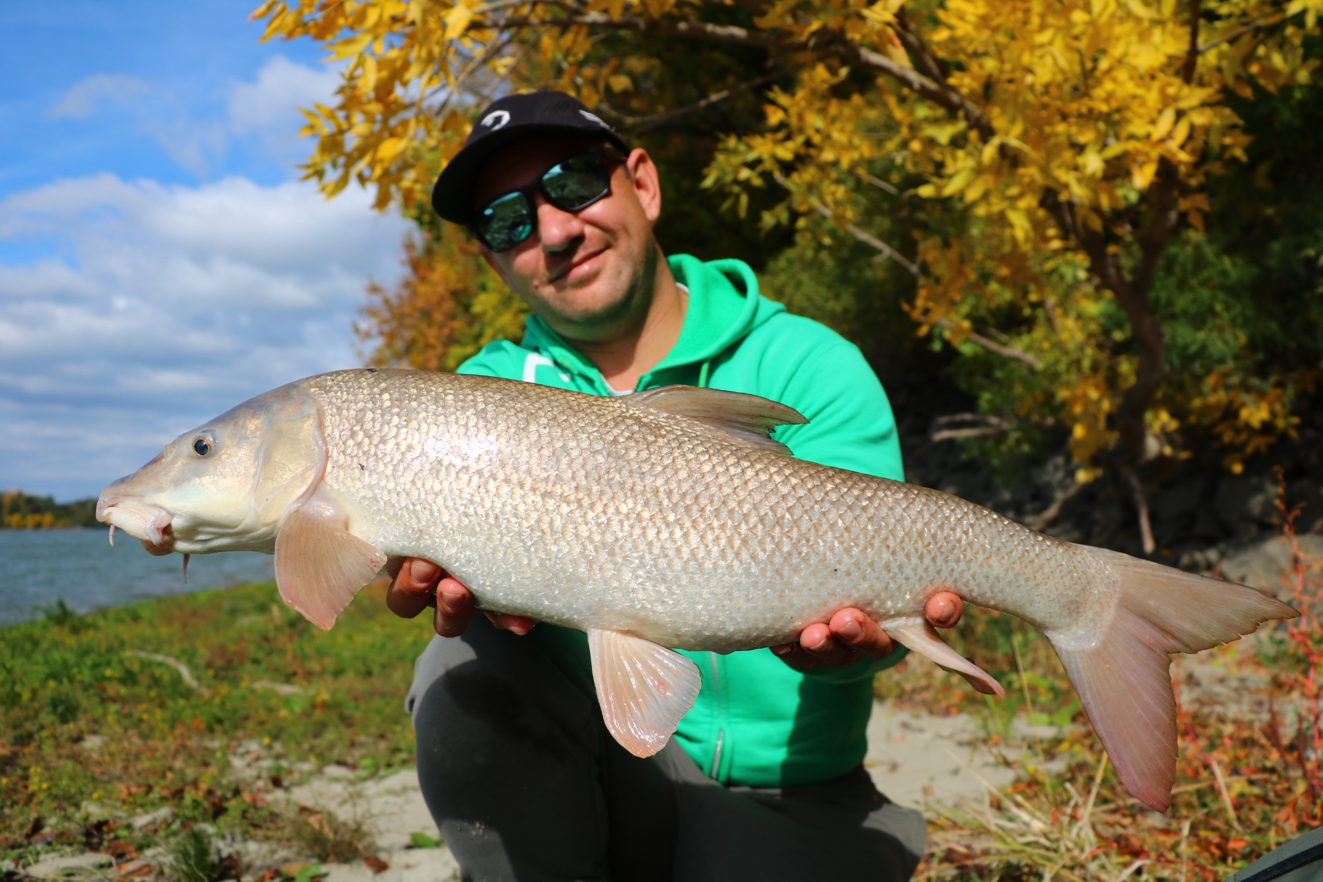 Egy termetes márna a Dunából