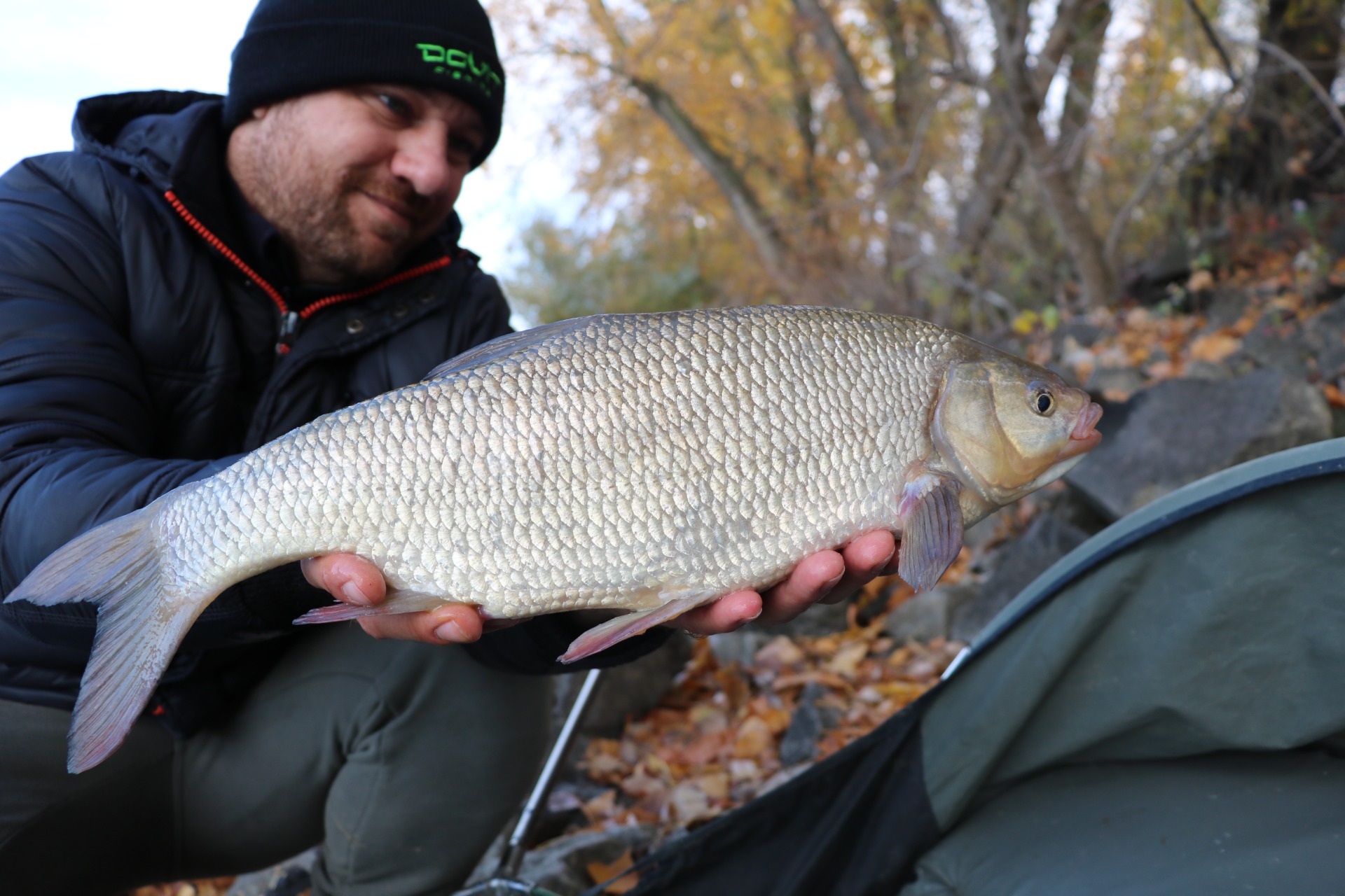 Egy jókora jászkeszeg
