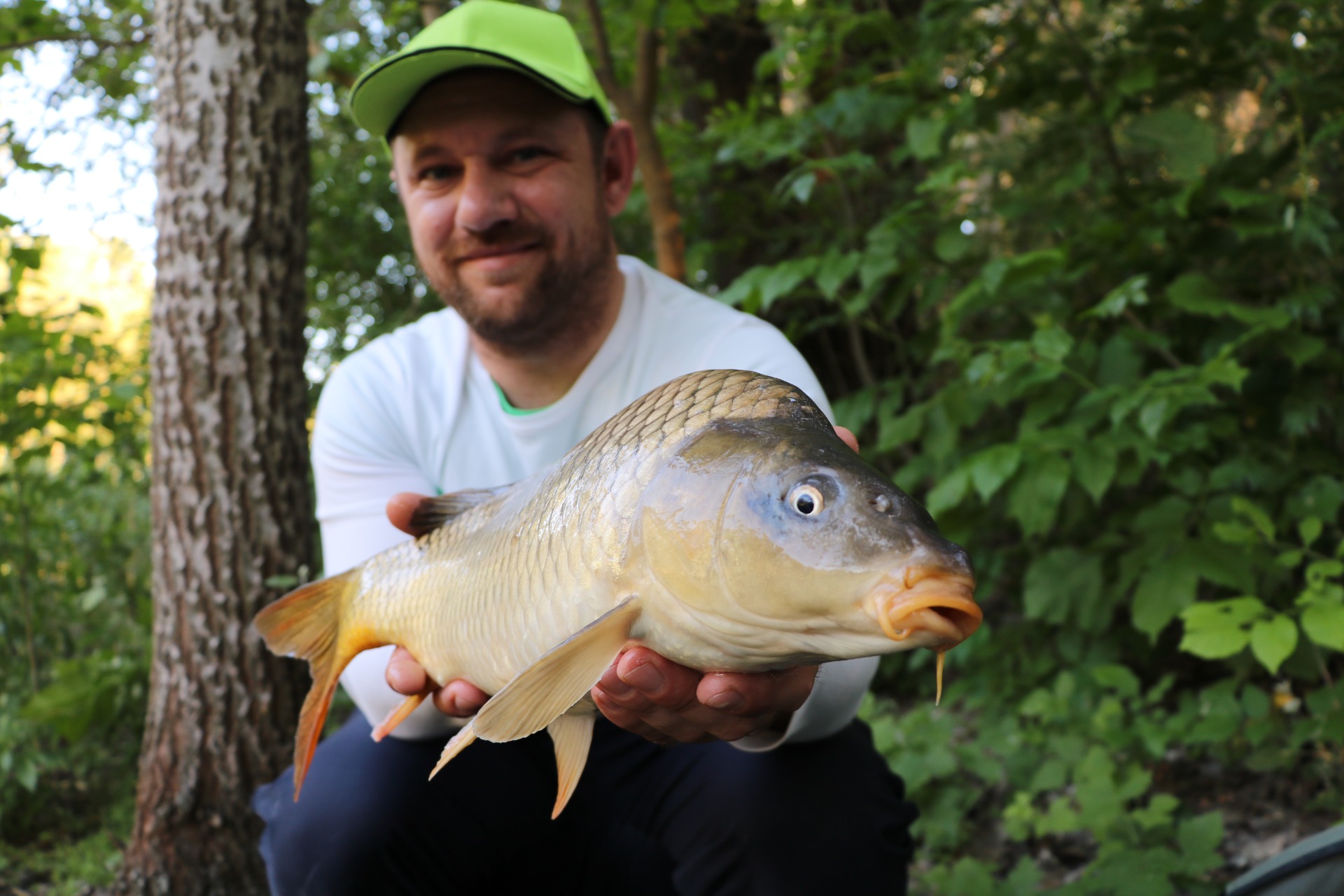 Tavaszi csatornai horgászaton fogott ponty