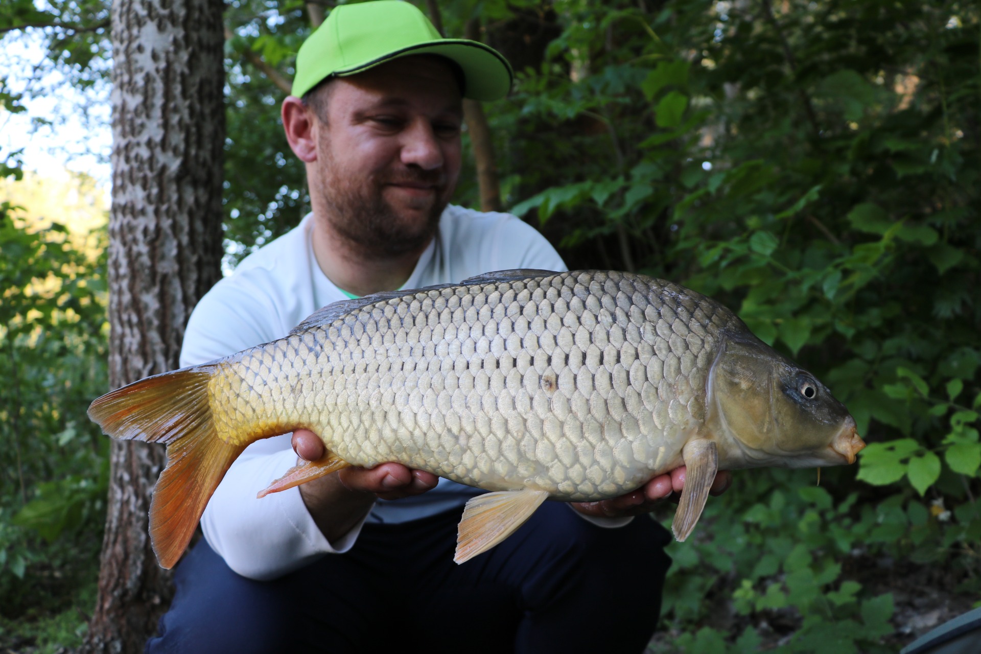 Ponty csatornai method feeder horgászaton